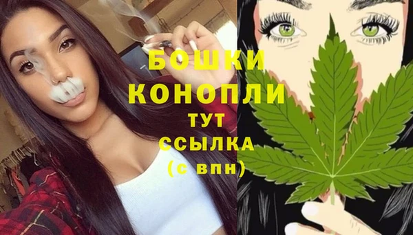 прущий лед Богданович