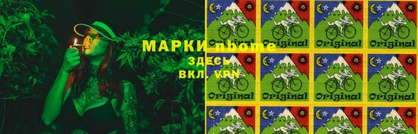 прущий лед Богданович
