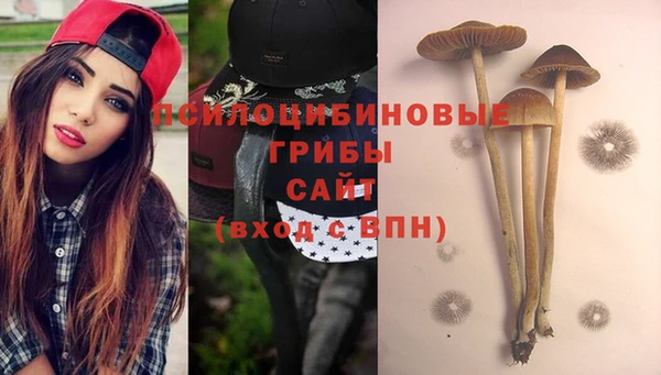 эйфоретик Богородицк