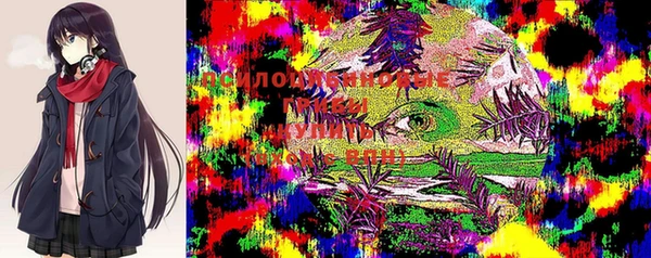 эйфоретик Богородицк