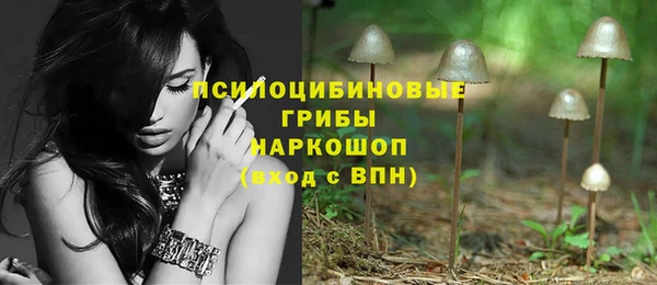 прущий лед Богданович