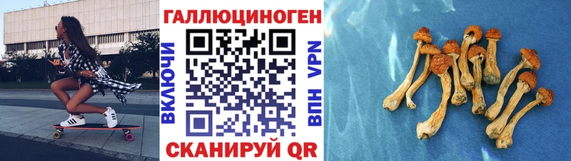 Псилоцибиновые грибы GOLDEN TEACHER  гидра вход  Орск 